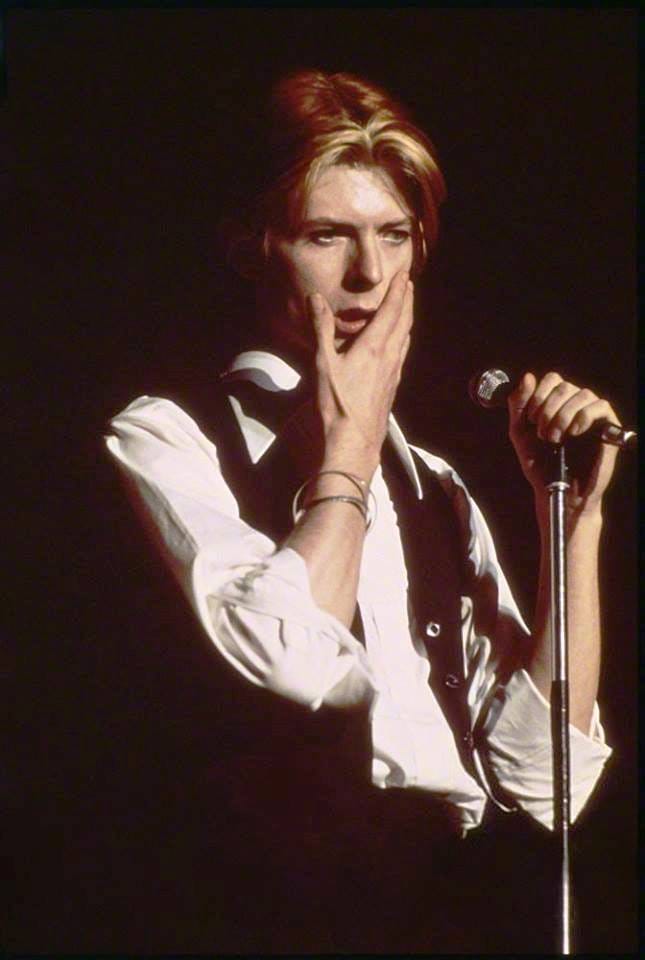 David Bowie