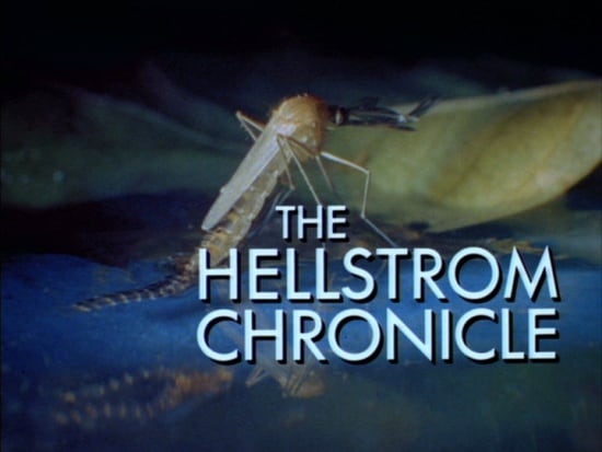 The Hellstrom Chronicle