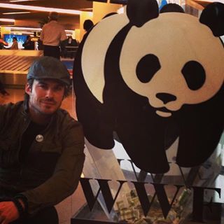 Ian Somerhalder