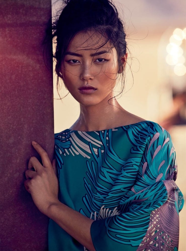 Liu Wen