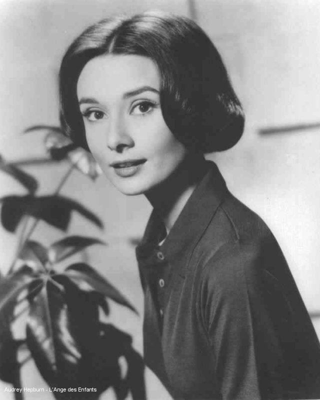 Audrey Hepburn Audrey Hepburn