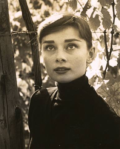 Audrey Hepburn Audrey Hepburn
