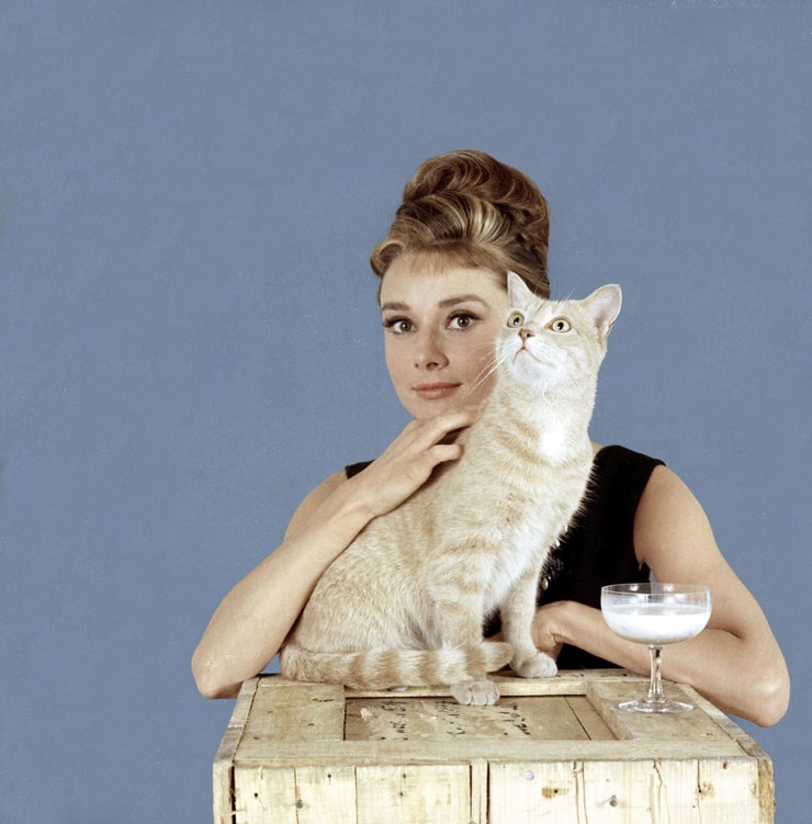 Breakfast at Tiffany's Breakfast at Tiffany's