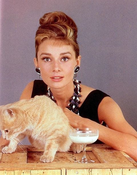 Breakfast at Tiffany's