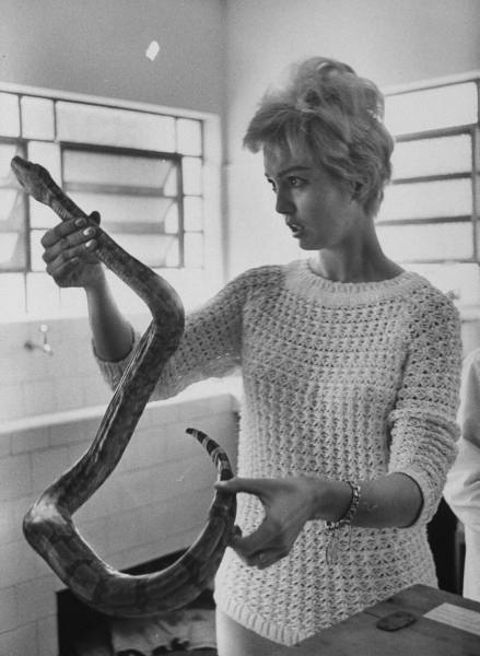Mylène Demongeot