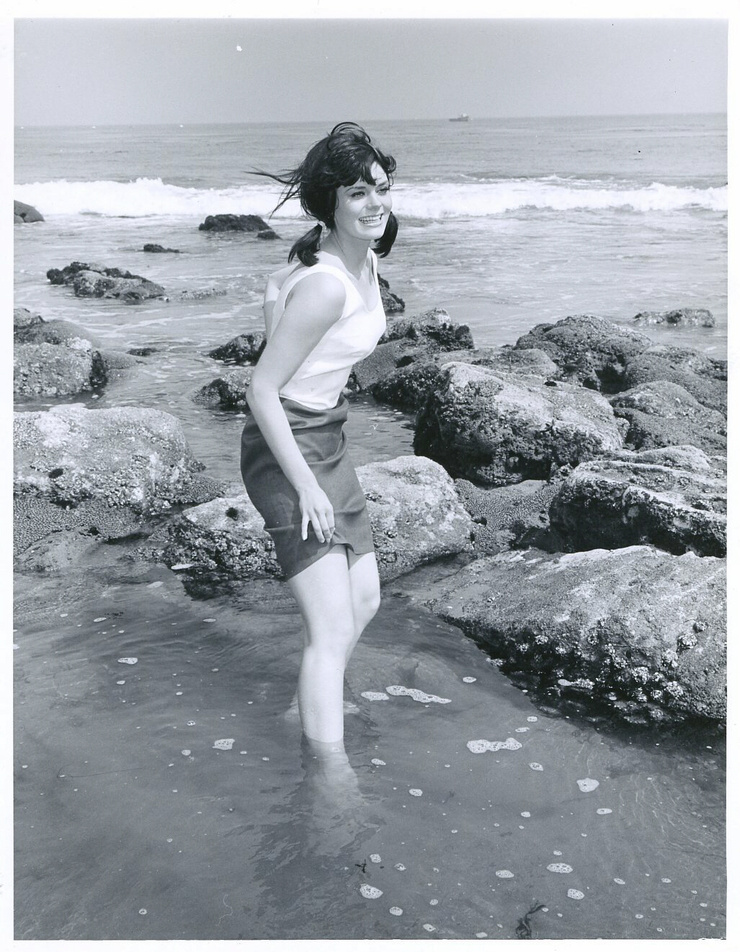 Nina Wayne Nina Wayne