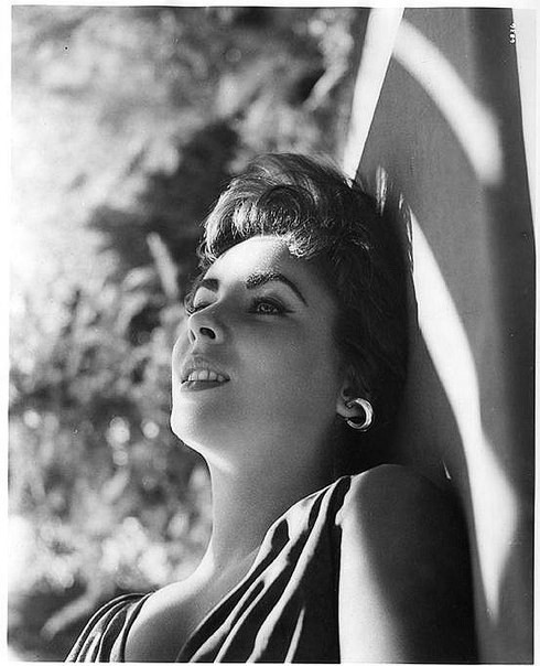 Elizabeth Taylor Elizabeth Taylor