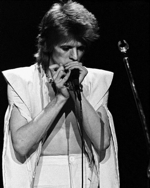 David Bowie