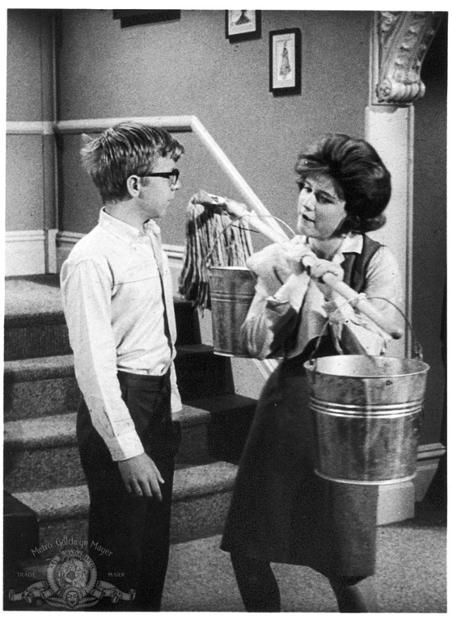 The Patty Duke Show