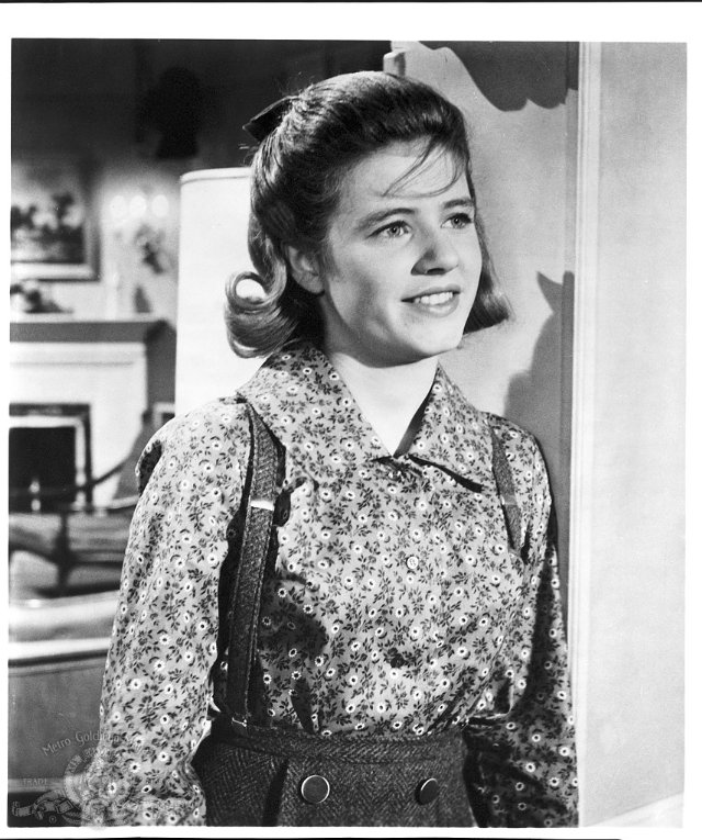 The Patty Duke Show