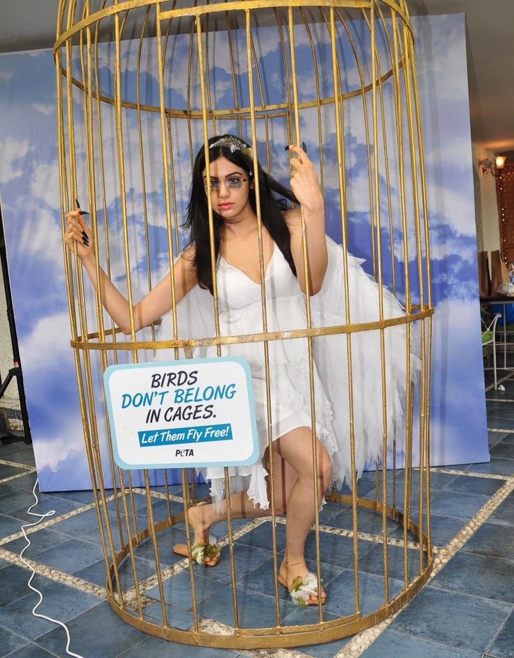 Adah Sharma