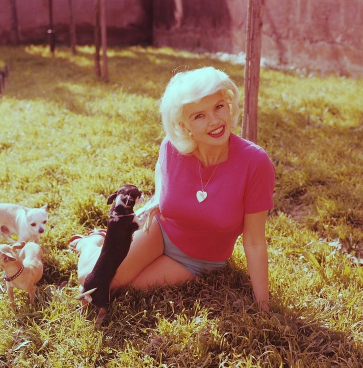 Jayne Mansfield Jayne Mansfield