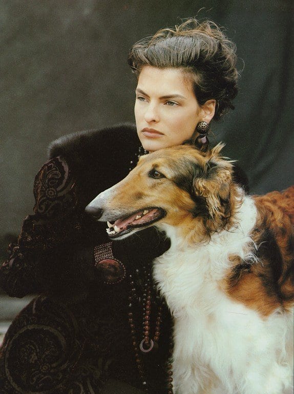 Linda Evangelista