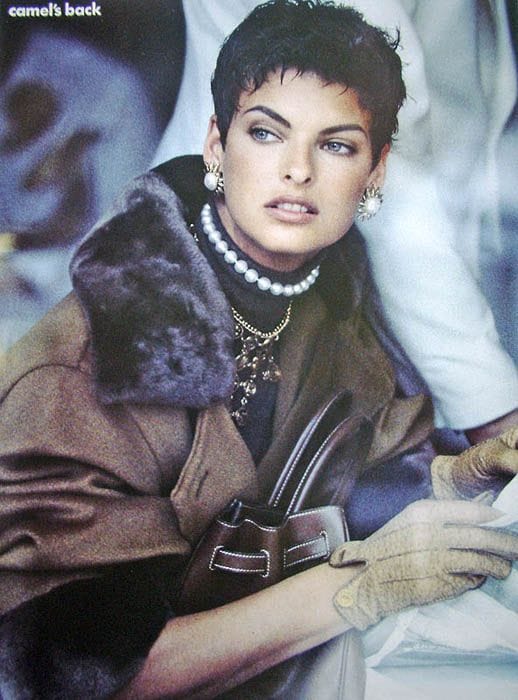 Picture of Linda Evangelista