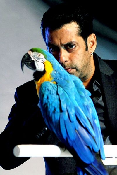 Salman Khan