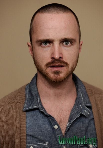 Picture of Aaron Paul