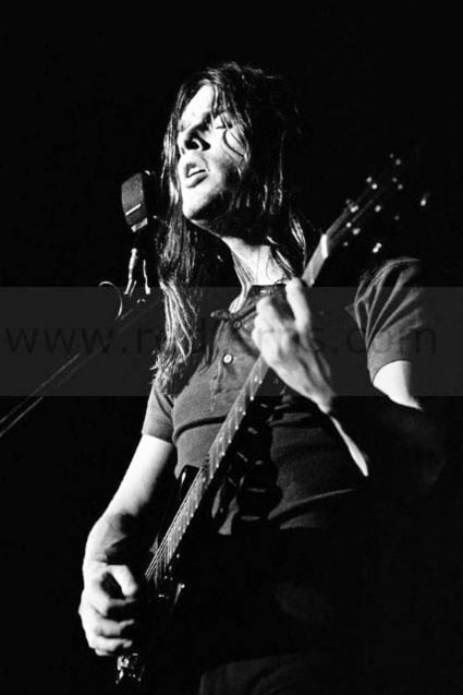 David Gilmour