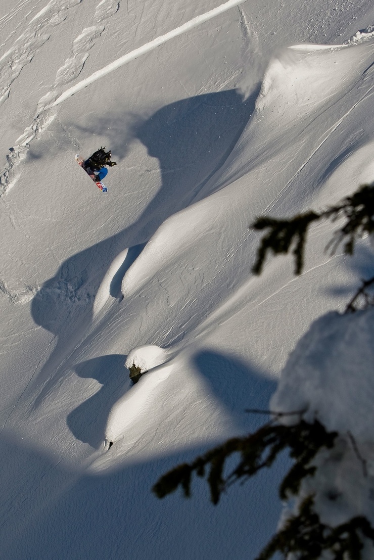 The Art of Flight