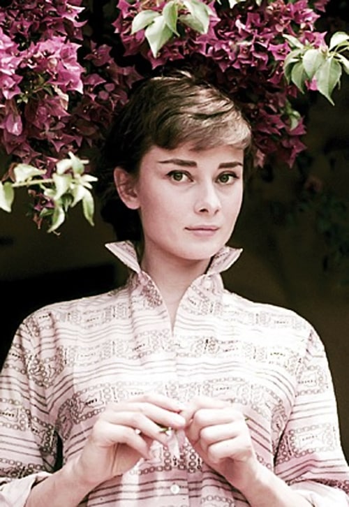 Audrey Hepburn