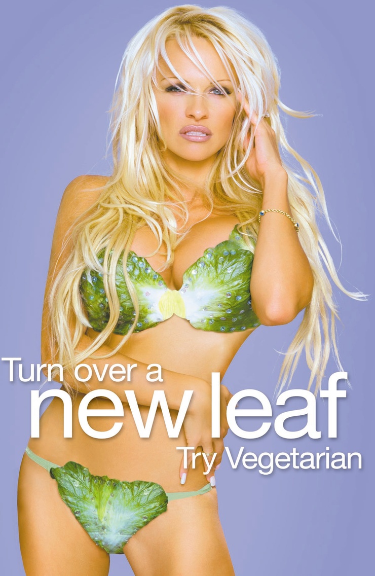Pamela Anderson Pamela Anderson