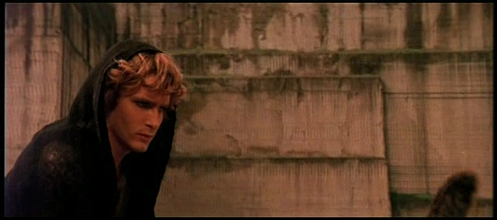 Martin Potter