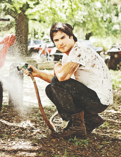 Ian Somerhalder