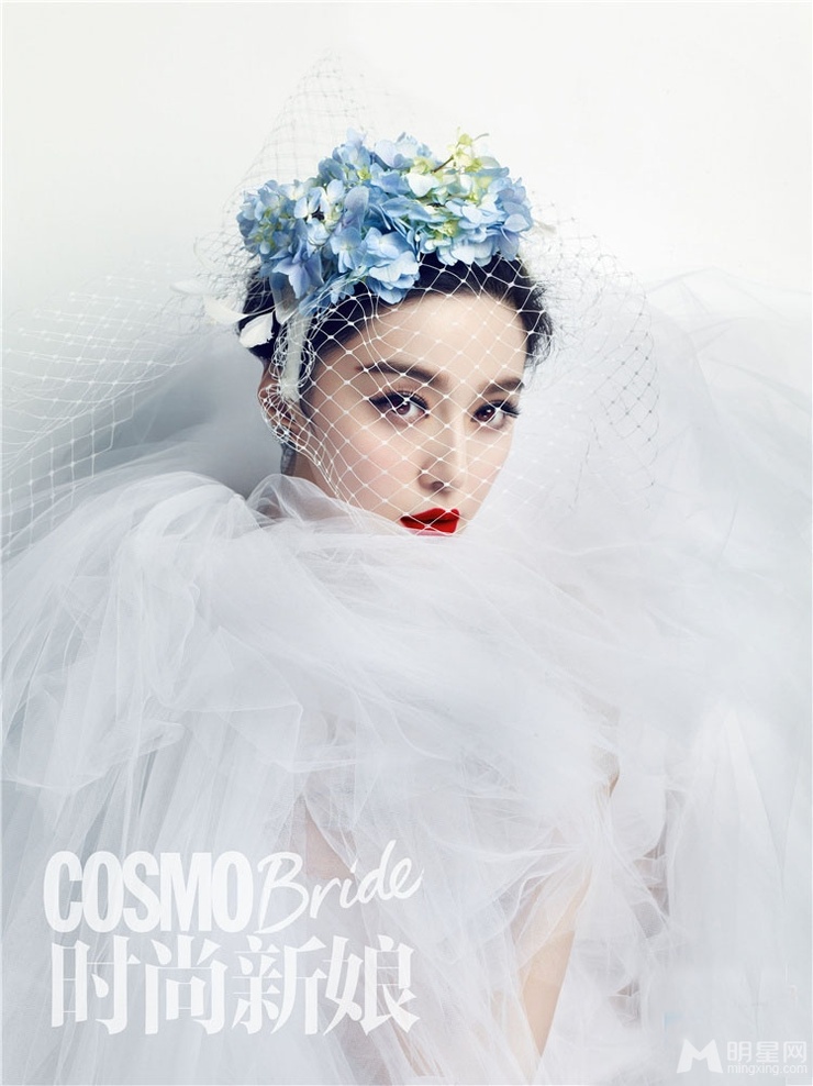 Bingbing Fan Bingbing Fan