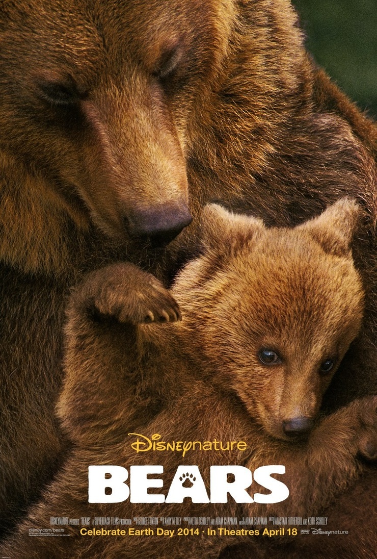 Bears Bears