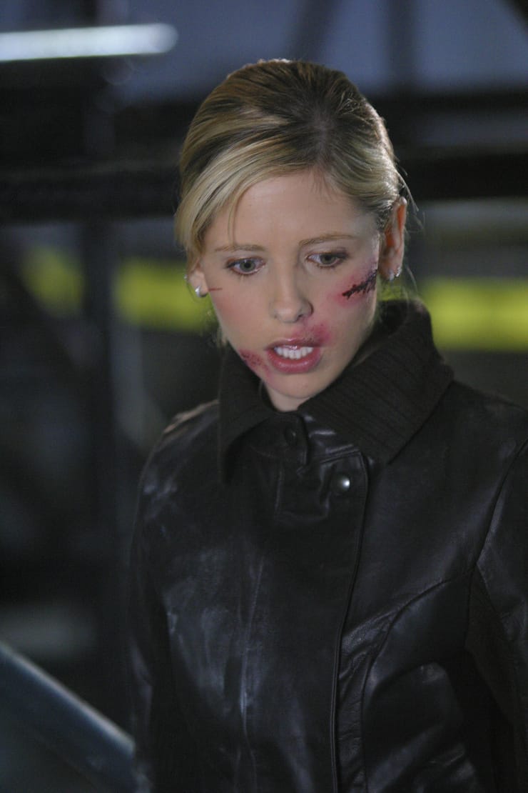 Buffy the Vampire Slayer Buffy the Vampire Slayer