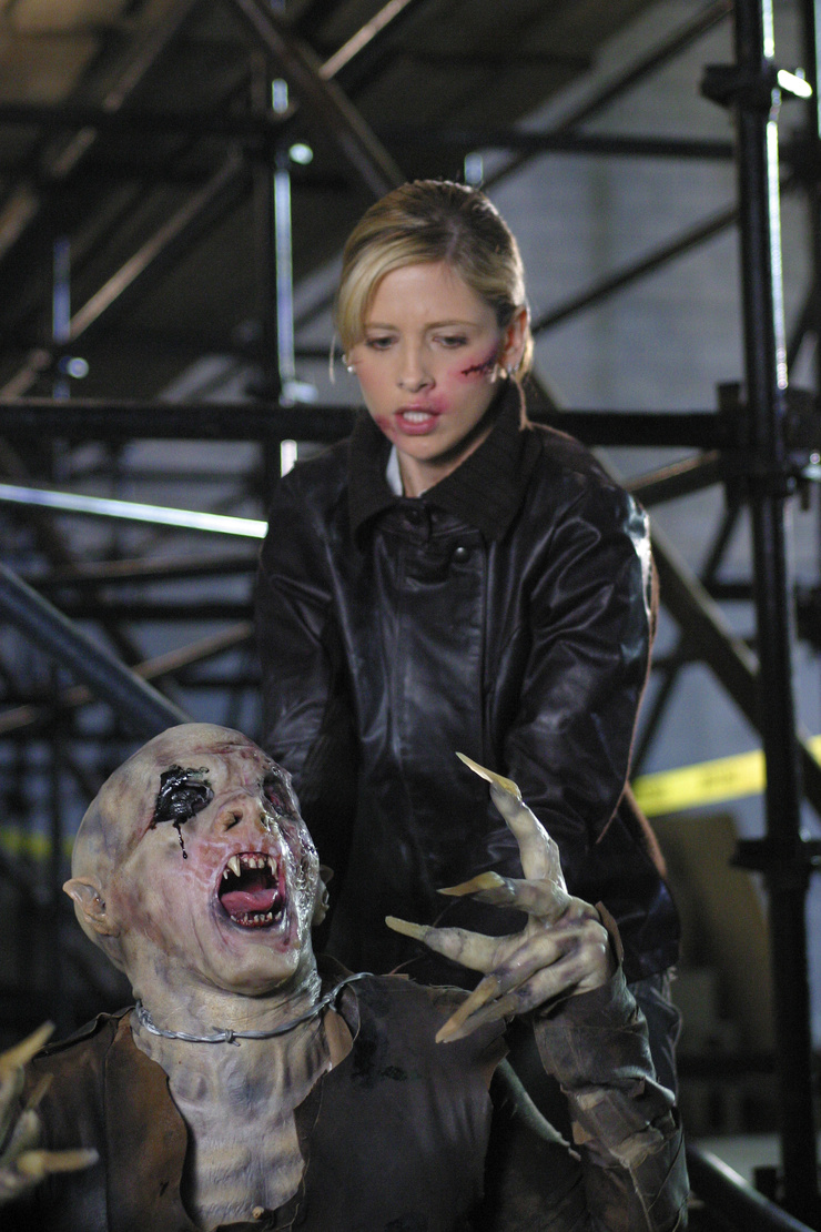 Buffy the Vampire Slayer Buffy the Vampire Slayer