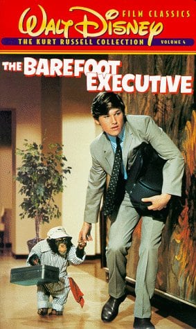 The Barefoot Executive