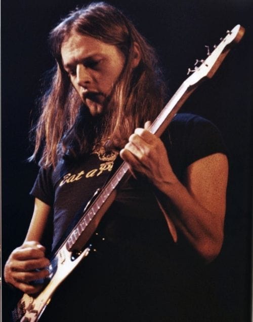 David Gilmour