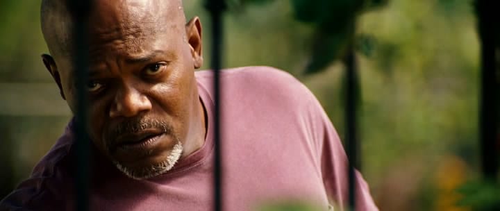 Lakeview Terrace