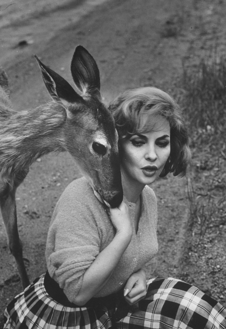 Gina Lollobrigida Gina Lollobrigida