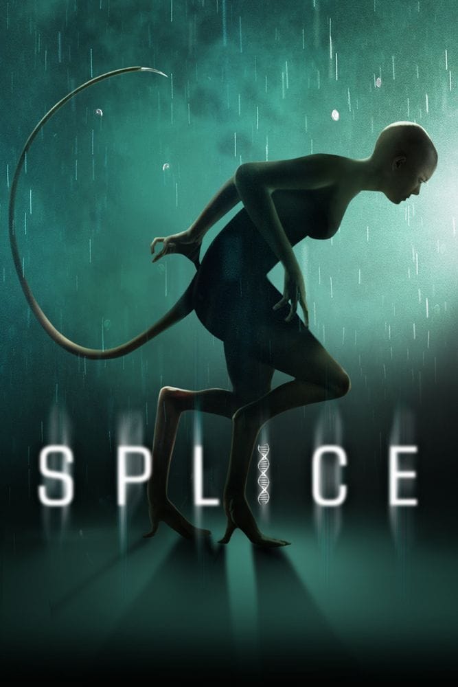 Splice