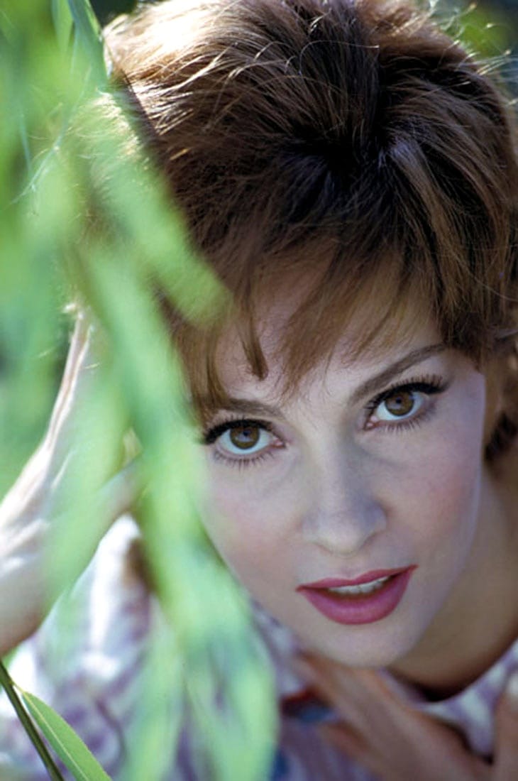 Gina Lollobrigida