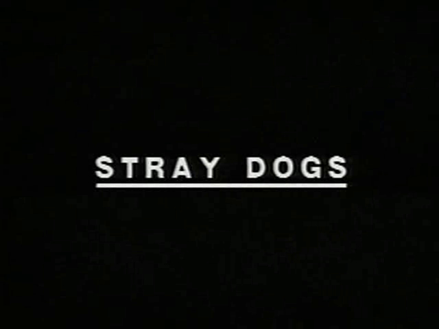 Stray Dogs