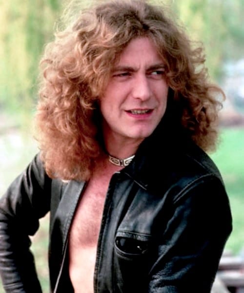 Picture of Robert Plant