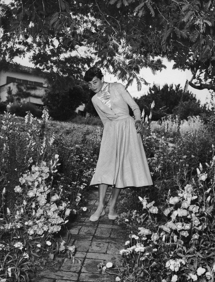 Audrey Hepburn Audrey Hepburn