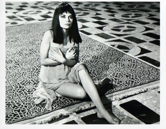 Pascale Petit Pascale Petit