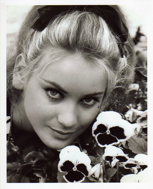 Geneviève Grad Geneviève Grad