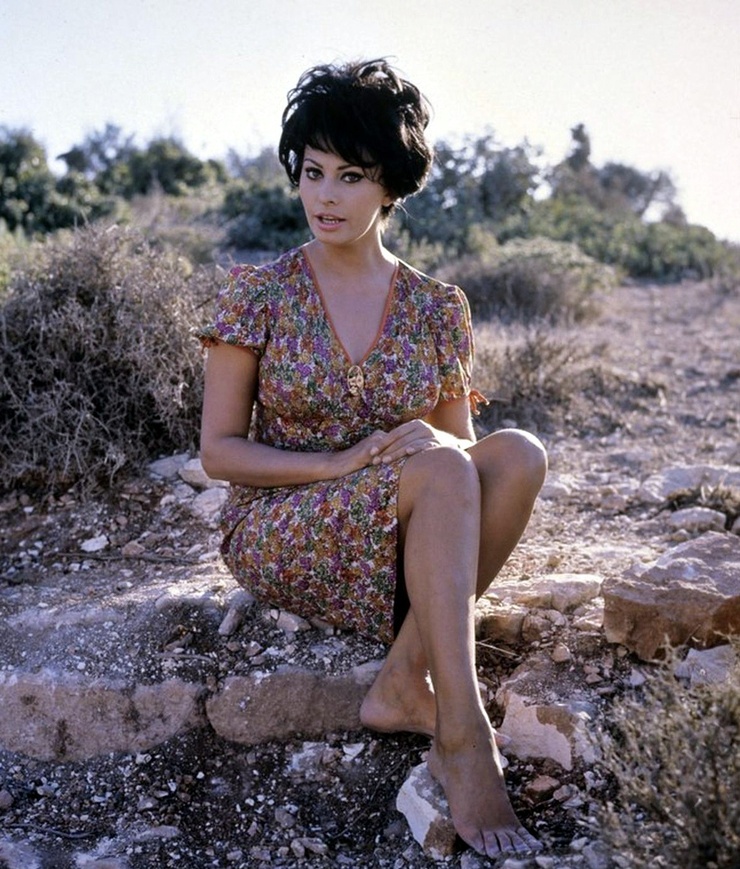 Sophia Loren Sophia Loren