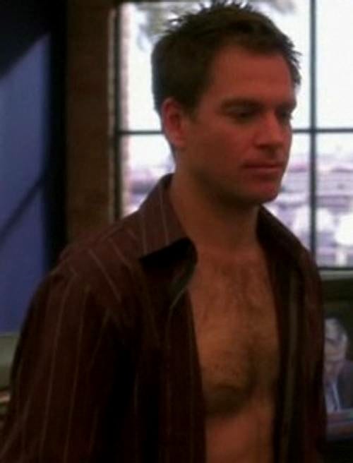 Michael Weatherly