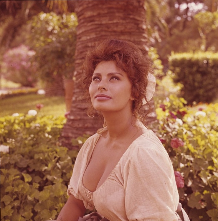 Sophia Loren Sophia Loren