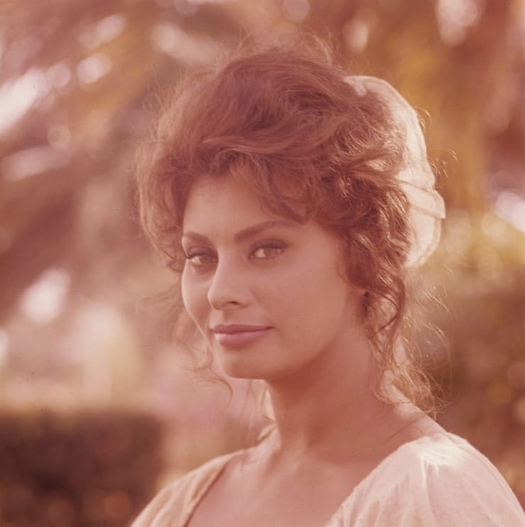 Sophia Loren