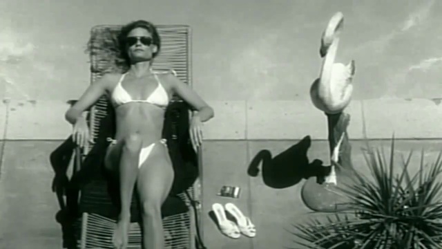 Kay Lenz