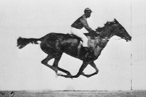 Sallie Gardner at a Gallop