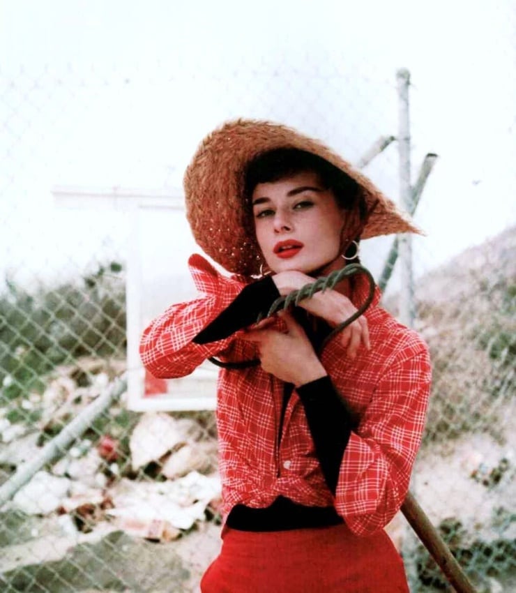 Audrey Hepburn Audrey Hepburn