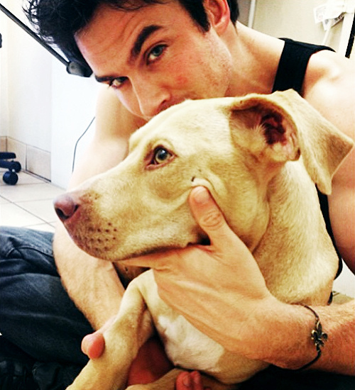 Ian Somerhalder