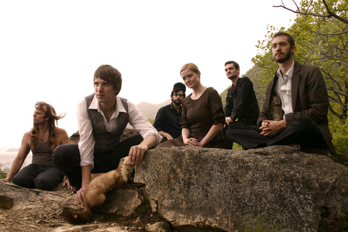 Shearwater